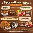 Tipos de Alimentos