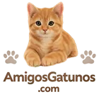 Amigos Gatunos - Comunidad amante de los gatos