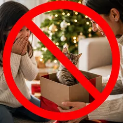 Imagen de un gato como regalo de Navidad con una gran señal de prohibido, 
                              representando el abandono animal, la adopción responsable de mascotas y la 
                              concienciación sobre regalar gatos en fechas especiales.