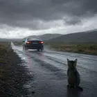 No lo abandones