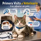 Visita Veterinario