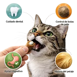 Gato comiendo snack funcional con beneficios para su salud, 
                              cuidado dental, digestión, control de bolas de pelo y mejora 
                              del pelaje en gatos
