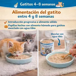 Infografía sobre alimentación de gatitos de 4 a 8 semanas mostrando comida 
                              húmeda para gatitos, transición alimentaria gatos bebé, nutrición para 
                              gatitos, destete de gatos, papillas para gatitos con agua tibia y consejos 
                              para alimentar gatitos correctamente y mejorar su crecimiento y salud