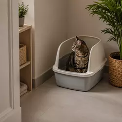 Gato usando un arenero en una zona tranquila, ventilada y accesible del hogar, 
                          ideal para reducir el estrés felino y evitar que haga sus necesidades fuera de 
                          la bandeja sanitaria.