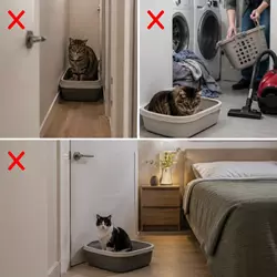Areneros para gatos colocados en pasillos estrechos, zonas ruidosas y 
                          habitaciones cerradas, mostrando ubicaciones incorrectas que pueden causar 
                          estrés felino y problemas de comportamiento en casa.