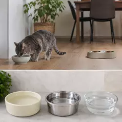 Gato doméstico bebiendo agua en bebedero de cerámica lejos de la comida, con 
                          recipientes de acero inoxidable y vidrio recomendados para mejorar la 
                          hidratación y salud felina en casa.