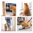 gato doméstico acompañando a su dueño en casa comportamiento felino apego 
                           emocional curiosidad por que mi gato me sigue al baño significado gatos en casa 
                           conducta felina explicación completa