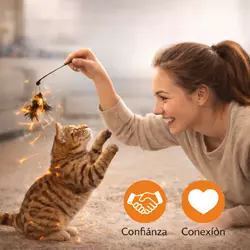 Gato jugando con su dueña