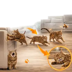 controlar estres en gatos con juego activo gato relajandose despues de jugar liberar energia 
                       comportamiento felino en casa