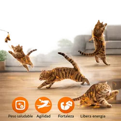 gato haciendo ejercicio físico jugando en casa mejora salud felina agilidad fuerza libera energía 
                       juegos para gatos activos