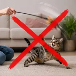 Gato jugando con varita de plumas movida demasiado rápido, ejemplo de error 
                          común al usar juguetes interactivos para gatos en casa.