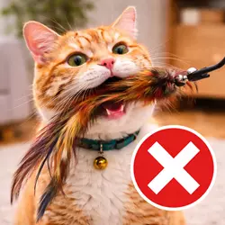 como evitar que mi gato muerda plumas grandes juguete peligroso para gatos riesgos y seguridad 
                       felina en casa comportamiento gato