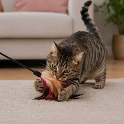 Gato doméstico atrapando juguete de plumas después de una persecución 
                          interactiva, reforzando instinto de caza y bienestar felino.