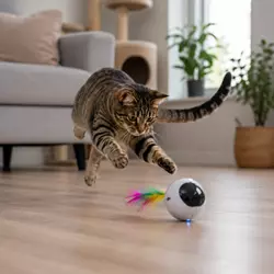 Gato haciendo ejercicio con juguete automático interactivo, ideal para reducir 
                          aburrimiento, sedentarismo y sobrepeso en gatos de interior.