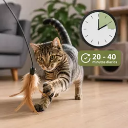 Gato joven y activo jugando con juguete de plumas en casa, ejercicio diario 
                          recomendado para gatos hiperactivos entre 20 y 40 minutos.