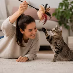 Persona jugando con su gato usando juguete de plumas interactivo, 
                          fortaleciendo el vínculo, la confianza y el bienestar emocional felino.