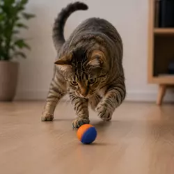 Gato persiguiendo pelota interactiva con movimientos impredecibles, ideal 
                          para estimulación mental, reflejos y entretenimiento felino.