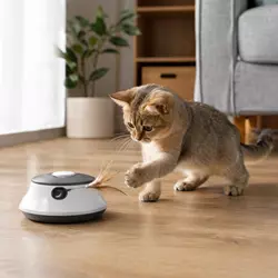 Gato jugando con juguete automático inteligente en casa