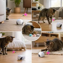 Gato doméstico usando juguetes automáticos e interactivos en diferentes 
                          habitaciones de casa para evitar aburrimiento