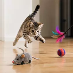 Gato jugando en casa con juguetes interactivos como ratón y accesorios que
                          estimulan el instinto felino y evitan el aburrimiento