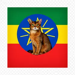 Imagen de mapa etiopia con gato abisinio