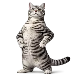 Gato American Shorthair gris rayado de pie en pose graciosa, gato doméstico de pelo 
                      corto divertido estilo meme viral, imagen llamativa ideal para amantes de gatos y 
                      contenido viral