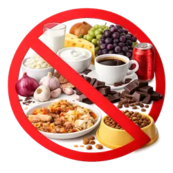Alimentos prohibidos para gatos como chocolate, café, lácteos y cebolla señalados con símbolo de 
                             peligro, guía de alimentación segura para gatos domésticos, evita comidas tóxicas y protege la 
                             salud de tu mascota felina