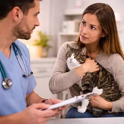 Gato en consulta con veterinario y dueña preocupada mostrando cuándo consultar por estrés en 
                           gatos, ansiedad felina persistente y problemas de comportamiento en casa