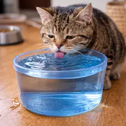 Gato bebiendo agua de un recipiente, mostrando la importancia de mantener una 
                             adecuada hidratación para la salud renal de los felinos. Esta imagen resalta 
                             cómo la hidratación es crucial para prevenir problemas de riñón y mejorar el 
                             bienestar general de tu gato, especialmente en razas propensas a enfermedades 
                             urinarias.